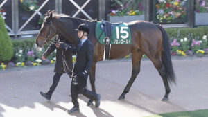 殿負けジュンゴールド坂井瑠星ｗｗｗ