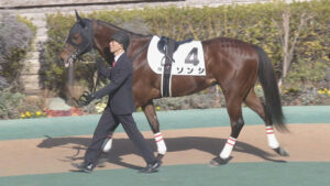 【ファルコンS】1番人気川田ソンシ飛んだ w w w