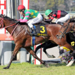 藤岡佑介が土曜4勝目ワロタ w w w