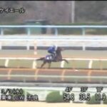 武井亮調教師「(シュトラウスは)前走で変なことを覚えてしまったかな」