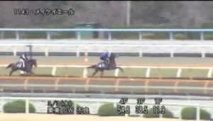 武井亮調教師「(シュトラウスは)前走で変なことを覚えてしまったかな」