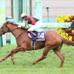 ジオグリフが大阪杯参戦へ