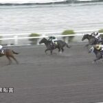 【黒船賞2024】結果・動画/シャマルが押し切り連覇達成