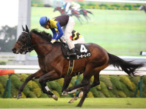 ヨーホーレイク、次走は大阪杯へ