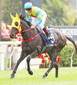 香港G1馬ビクターザウィナーさん、高松宮記念出走へマジで来日