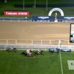 【ドバイシーマクラシック2024】結果・動画/レベルスロマンスが押し切りV