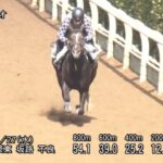【ダービー卿CT 2024】追い切り/動きを見極め勝利に近づけ