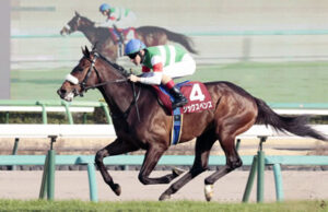 【スプリングS】シックスペンスが完勝!無傷3連勝で重賞初制覇