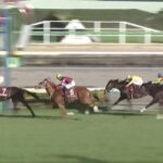 【競馬】弥生賞はデムーロ騎乗のコスモキュランダがV