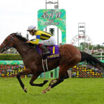 ソールオリエンスがこの先勝てそうなG1