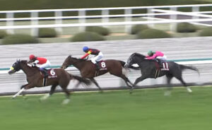 【チューリップ賞】15番人気ハワイアンティアレなんて誰が買えんの？