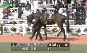 素質馬ショウナンラプンタが地味に1勝クラス突破した件