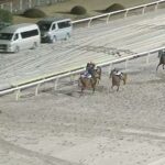 【京浜盃2024】結果・動画/サントノーレが7馬身差圧勝