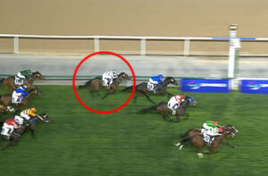 【ドバイターフ】ドウデュース武豊w w w w w