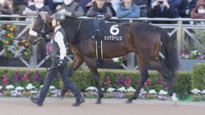 【競馬予想】第78回スプリングステークス(GII) /2024