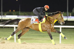 【ドバイワールドC】海外オッズの1、2番人気が日本馬ｗｗｗ
