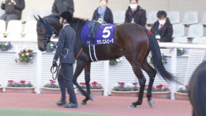 【競馬予想】第31回チューリップ賞(GⅡ) / 2024