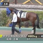 チャンネルトンネル(牡3)が美浦から福永厩舎へ突然の転厩