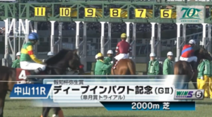 【弥生賞】コスモキュランダ＆Mデムーロ騎手がｷﾀ━━━━(ﾟ∀ﾟ)━━━━!!