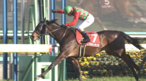 【弥生賞】コスモキュランダ強すぎワロタwww