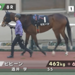 【アルメリア賞】ギャンブルルーム&ムルザバエフ騎手がキタ━━━━(゚∀゚)━━━━!!