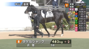 【日曜中山8R】サイルーン＆Rキング騎手がｷﾀ━━━━(ﾟ∀ﾟ)━━━━!!