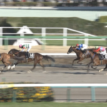 【総武S】ゴールドハイアー&Rキング騎手がキタ━━━━(゚∀゚)━━━━!!