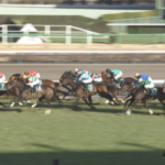 【中山牝馬S】 コンクシェル&岩田望来騎手がキタ━━━━(゚∀゚)━━━━!!