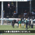 【フィリーズレビュー】エトヴプレ&藤岡佑介騎手がキタ━━━━(゚∀゚)━━━━!!