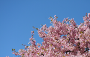 おまえら3.11の震災の時どこで何やってた？