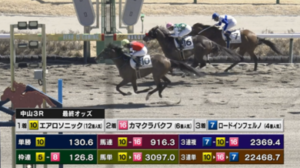 全国のブッシーファン全員中山に大集結するからなあ　他