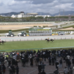 【阪神スプリングジャンプ】マイネルグロン&石神深一騎手がキタ━━━━(゚∀゚)━━━━!!