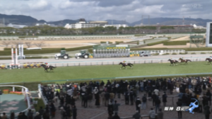 【阪神スプリングジャンプ】マイネルグロン＆石神深一騎手がｷﾀ━━━━(ﾟ∀ﾟ)━━━━!!