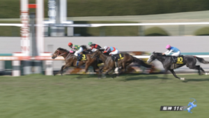 【若葉S】ミスタージーティー＆藤岡祐介騎手がｷﾀ━━━━(ﾟ∀ﾟ)━━━━!!