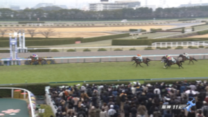 【毎日杯】メイショウタバル&坂井騎手がキタ━━━━(゚∀゚)━━━━!!