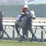 【高松宮記念】マッドクール+18www