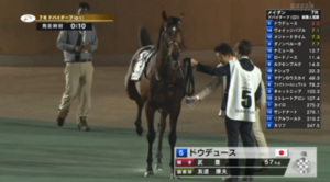 【ドバイターフ】もしかしてベルーガが共同通信杯と勘違いする可能性ある?
