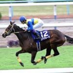 地味に名繁殖牝馬