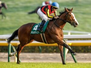 【急募】チェルヴィニア レガレイラの鞍上