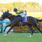 ジャンタルマンタル川田しょうがwww