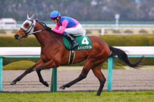 メイショウタバルが道中もっと抑えてたら