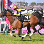 現役最強馬がプログノーシスな件