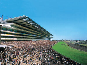悲報 東京競馬場超高速前残りコンクリート馬場www