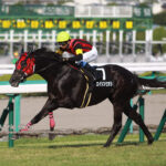 瞬間風速高かったがパッとしなかった馬