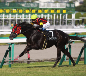 瞬間風速高かったがパッとしなかった馬