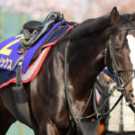 日本競馬、イクイノックスのドバイSCから海外芝重賞全敗中