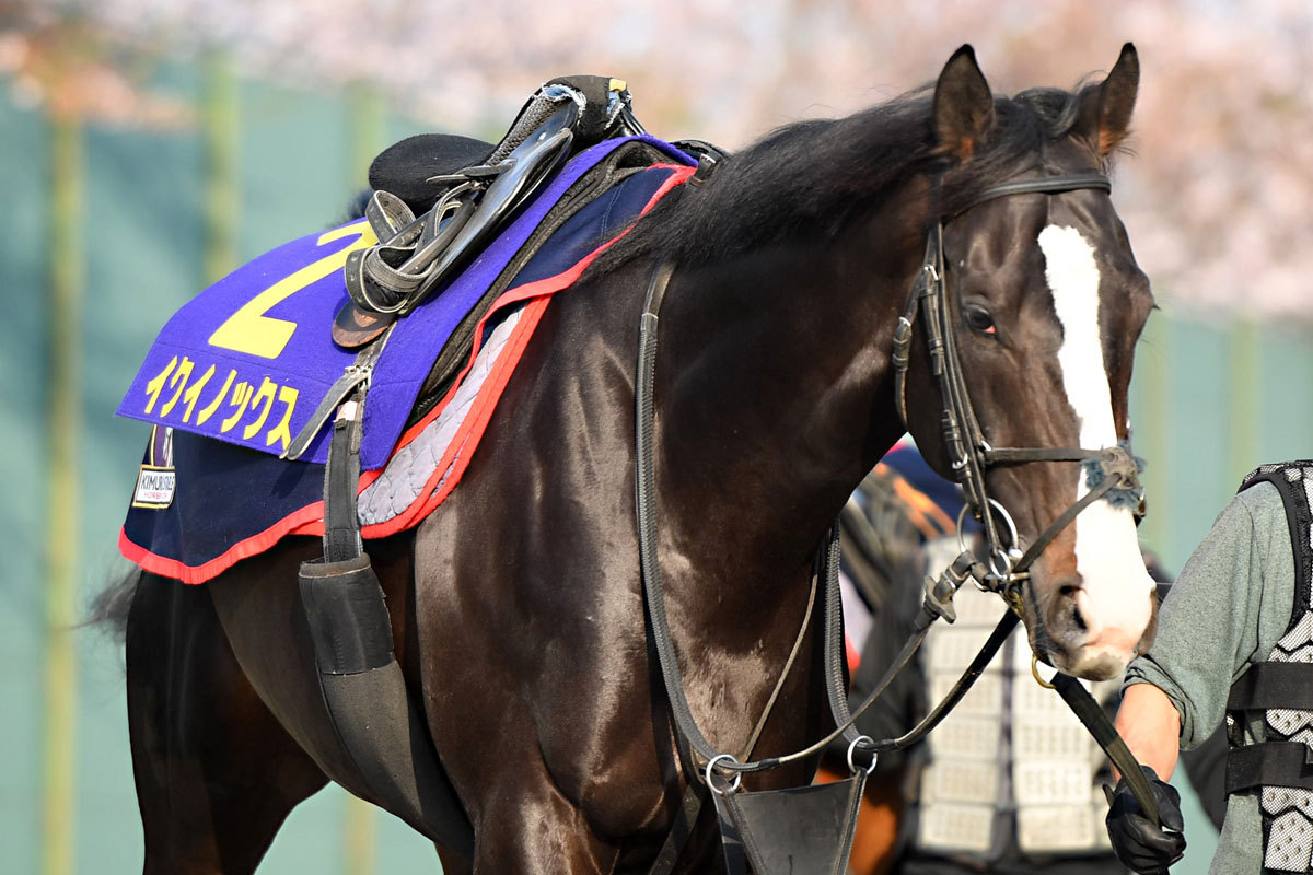 日本競馬、イクイノックスのドバイSCから海外芝重賞全敗中