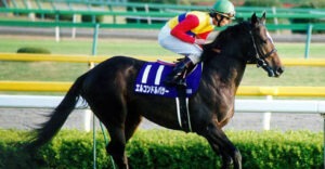 なぜ最強馬論争をしたがるのか