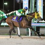 ウシュバテソーロが中央競馬場から逃げる理由