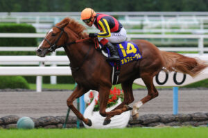 オルフェーヴル産駒、またもやダートで大覚醒 5馬身差圧勝デルマアートマン
